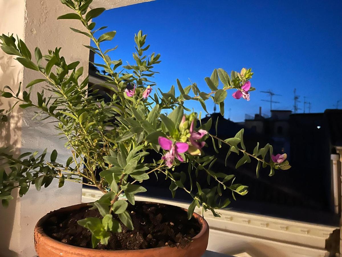 Pacini 88 Rooms And Apartment Catania Centro מראה חיצוני תמונה